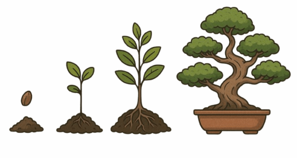 bonsai lifecycle